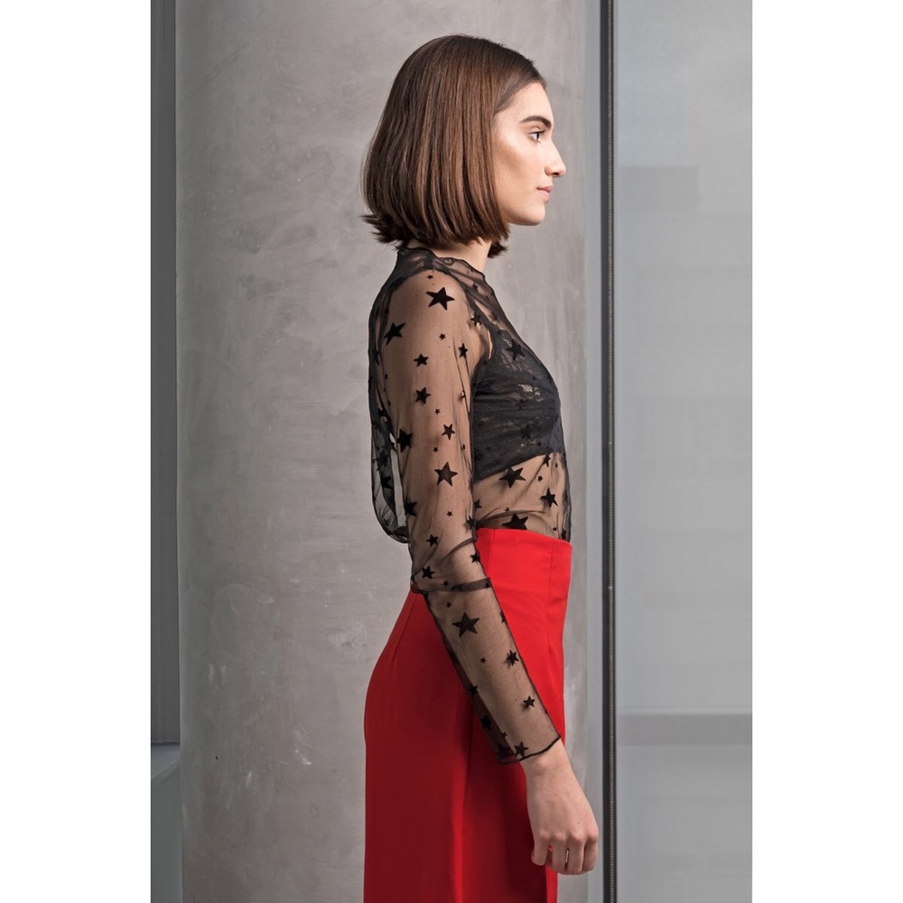 Star Sheer Long Sleeve Top - Picture 3 of 7